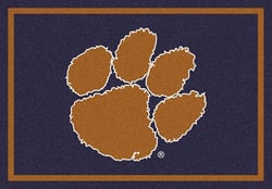 College_Spirit_C79798_Clemsonm.jpg